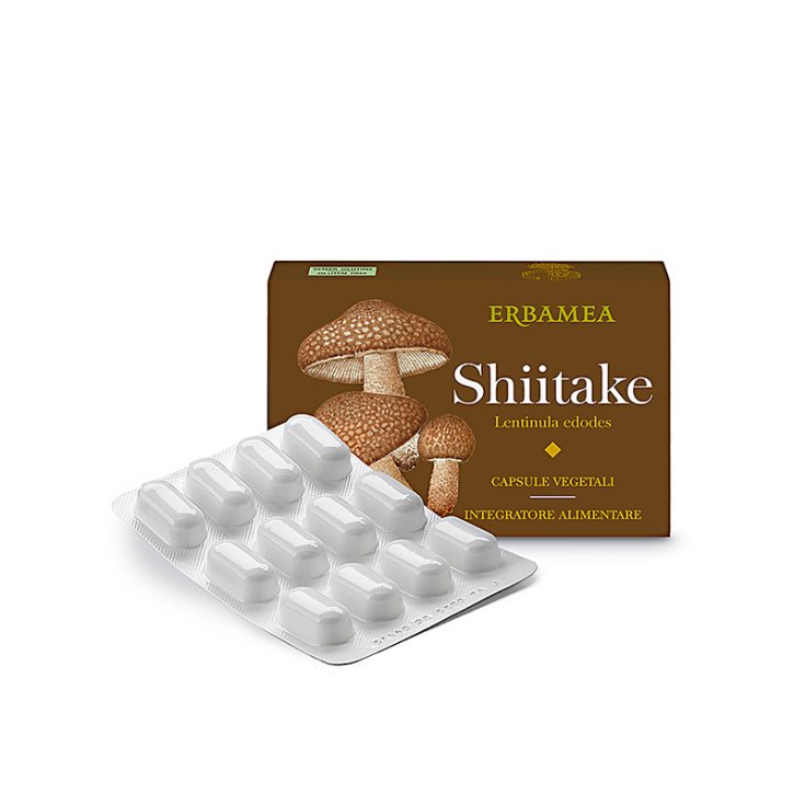 Shiitake Erbamea 24 Capsules Végétariennes