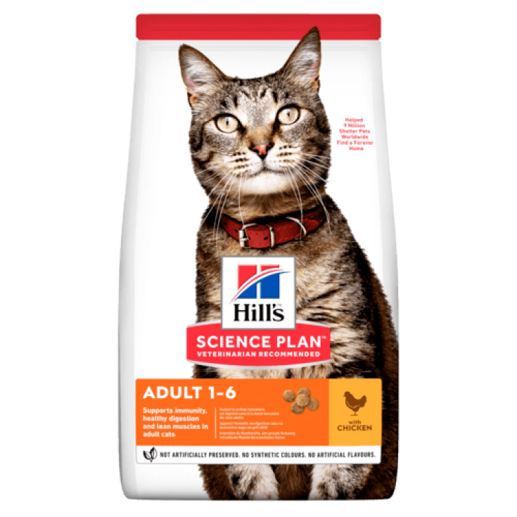 Science Plan Feline Hill's 300g