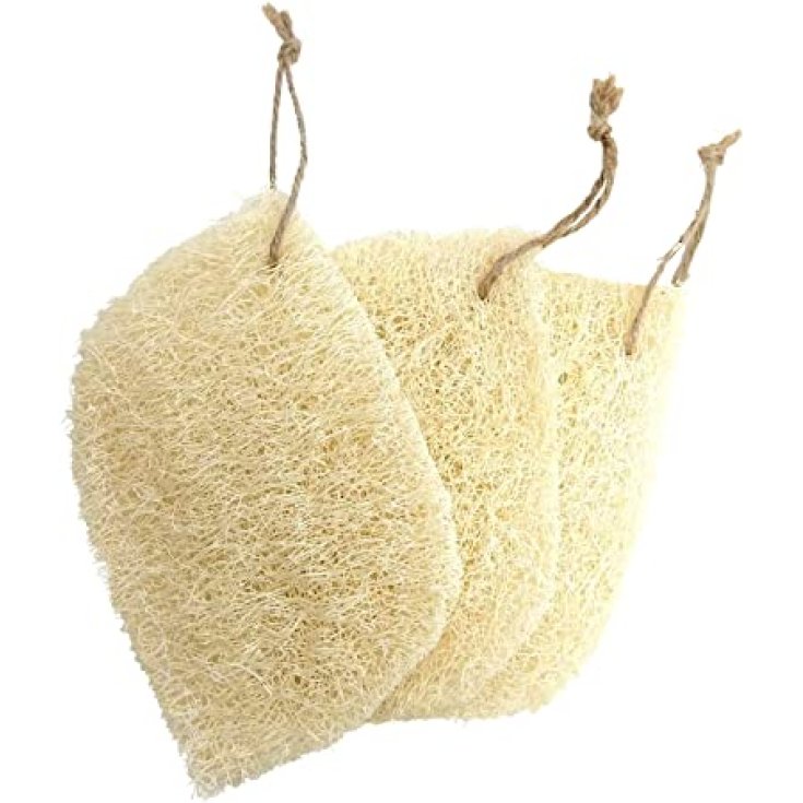 Luffa Raw Borghetti Enrico 1 pièce