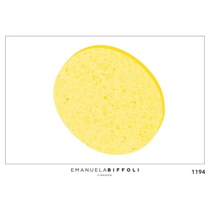 Eponge 1194 Emanuela Biffoli 1 pièce