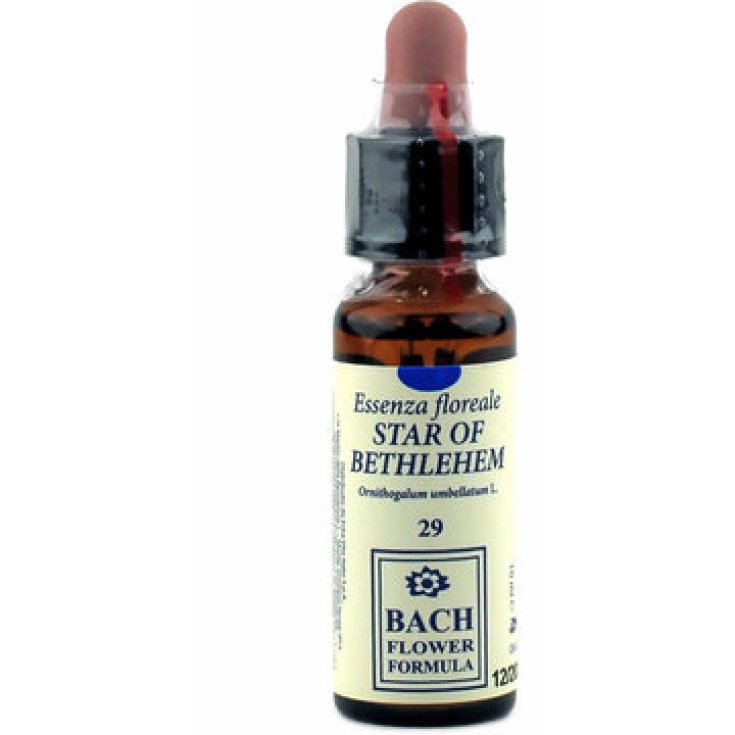 Etoile de Bethléem 29 Fleurs de Bach 10ml