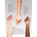 Le fond de teint universel 08W Astra MakeUp 1 Foundation