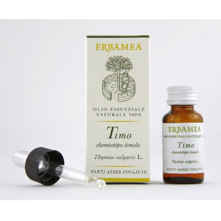 Thym Chémotype Thymol Erbamea 10ml