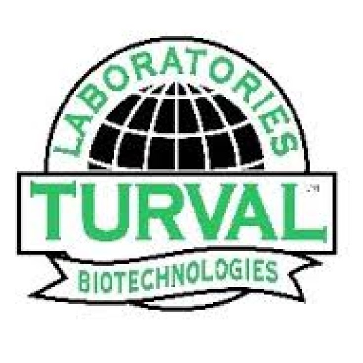 Laboratoires Turval Italia Complexe Bioval Granulat 20 Sachets