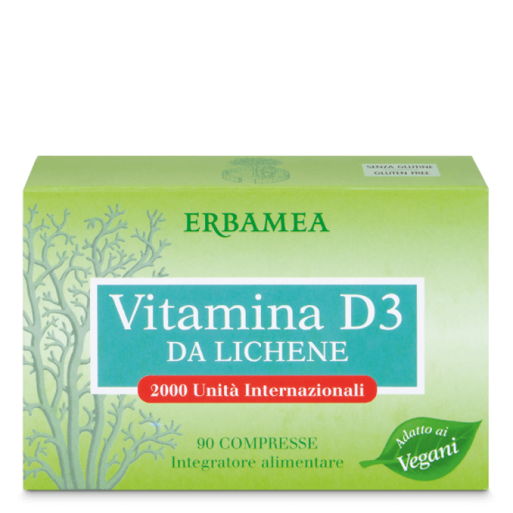 Vitamine D3 De Lichen Erbamea 90 Comprimés