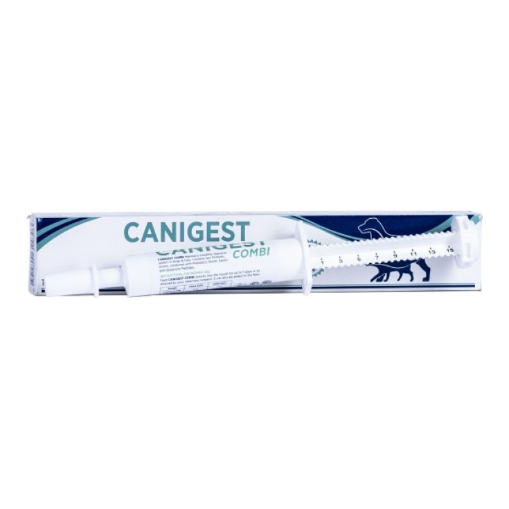 Canigest Combi Pâte - Seringue 32ml