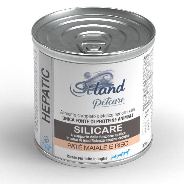 CANNE EN SILICARRE SILAND MAI RI300G