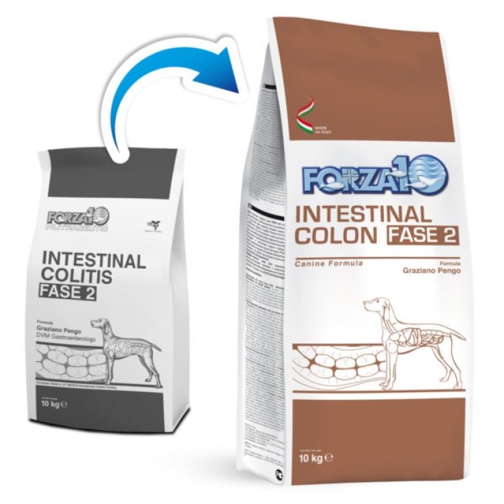 FORZA10 INTES COLON FII CA10KG