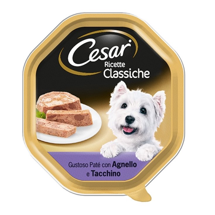 RECETTES CESAR CLASSE AGNEL/TACC