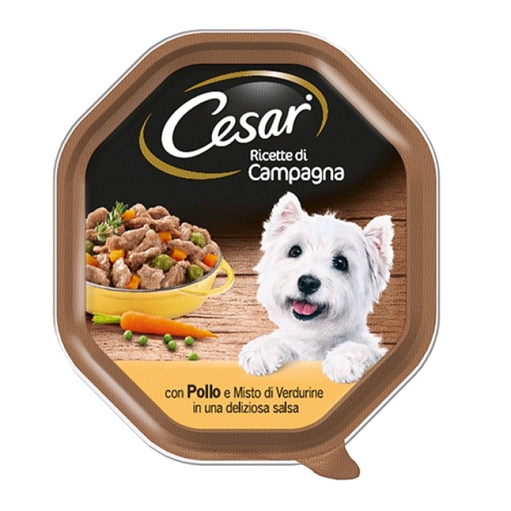 RECETTES CESAR POULET DE CAMP/VERT