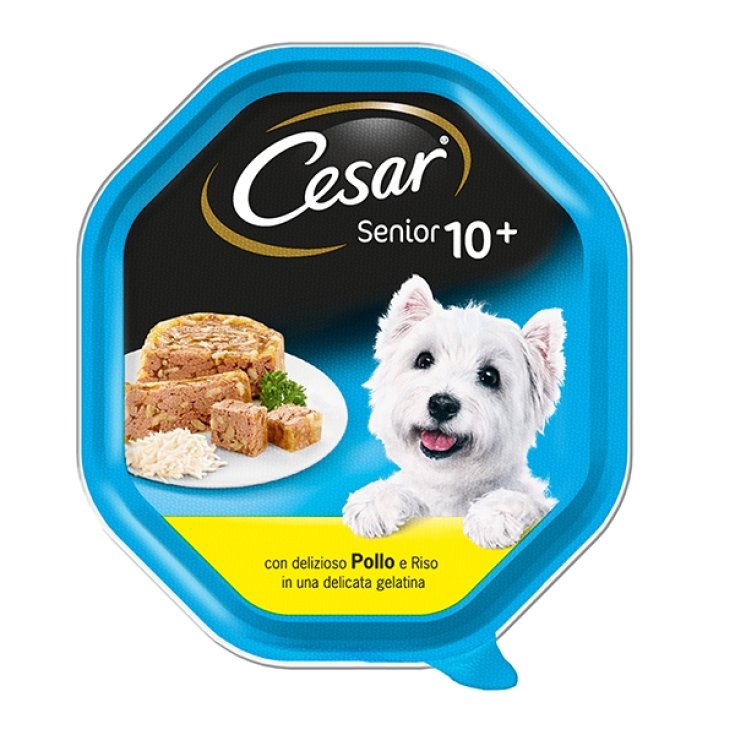 CESAR SENIOR 10+ POULET/RIZ GE