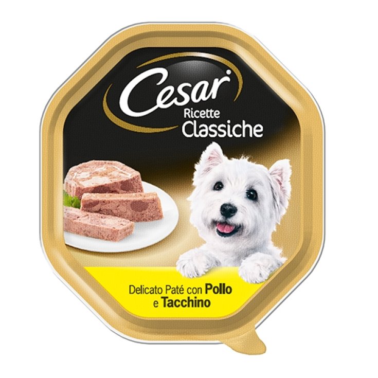 RECETTES CESAR CLASSE POULET/TACC