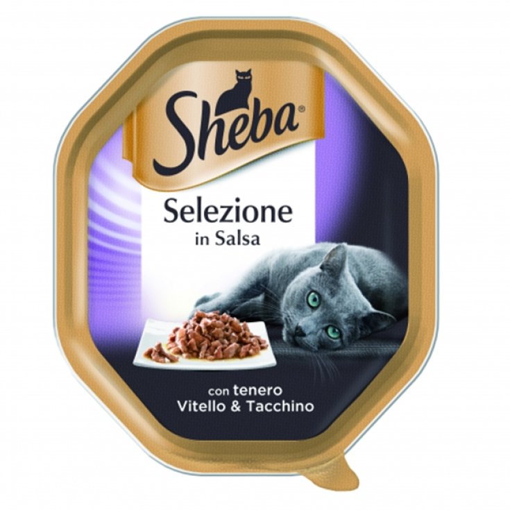 SÉLECTION DE SAUCE SHEBA VTL/TACC