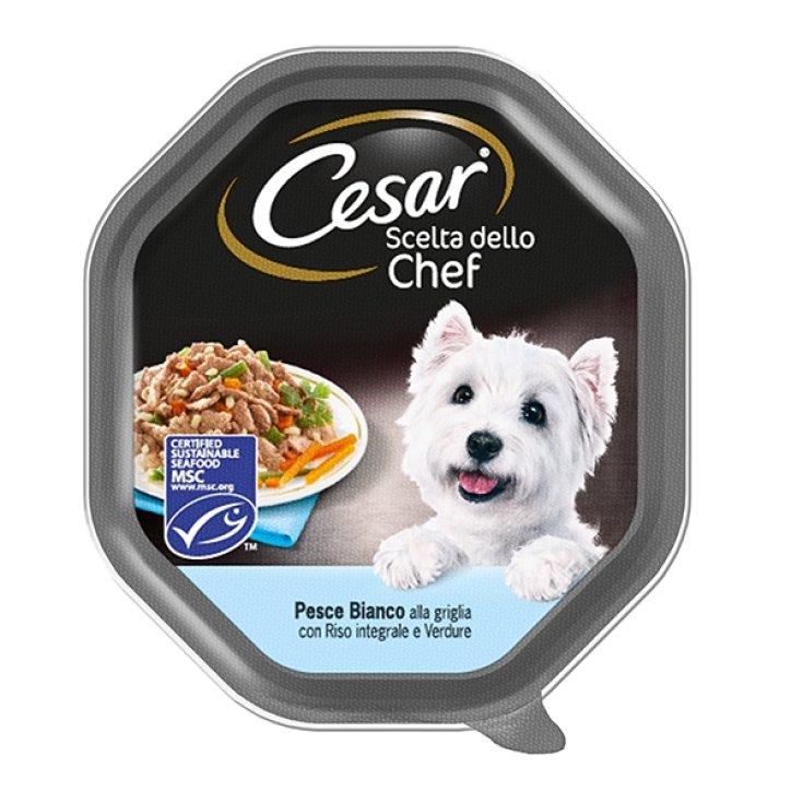 CESAR CHEF'S CHOICE POISSON RIS VE