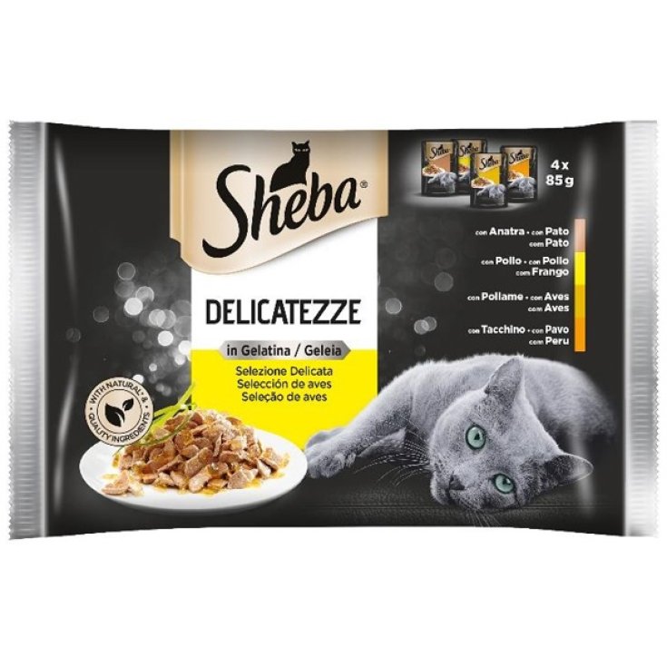 SHEBA DÉLICACIES GEL POL4X85G