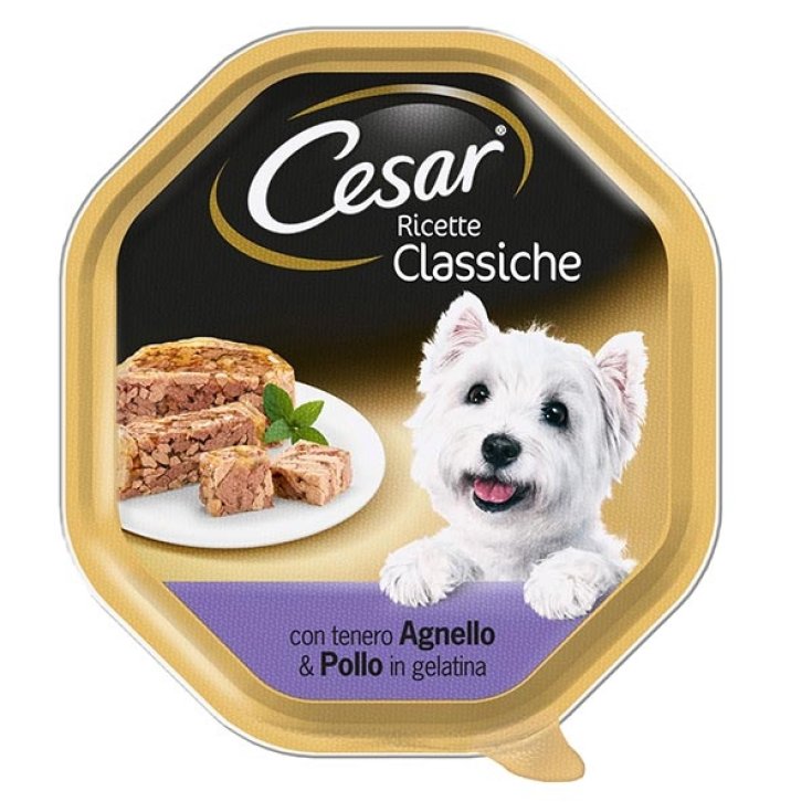 RECETTES CESAR CLASSE AGNEL/SONDAGE