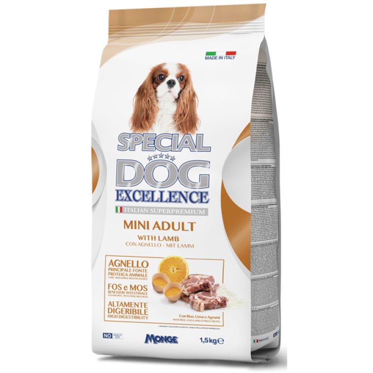 SPECIAL CHIEN EXC MINI AVEC AGN