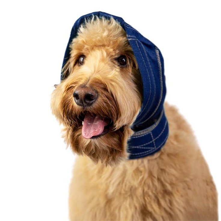 BT PROTECT L - SANS RABAT - SUPPORT D'OREILLE