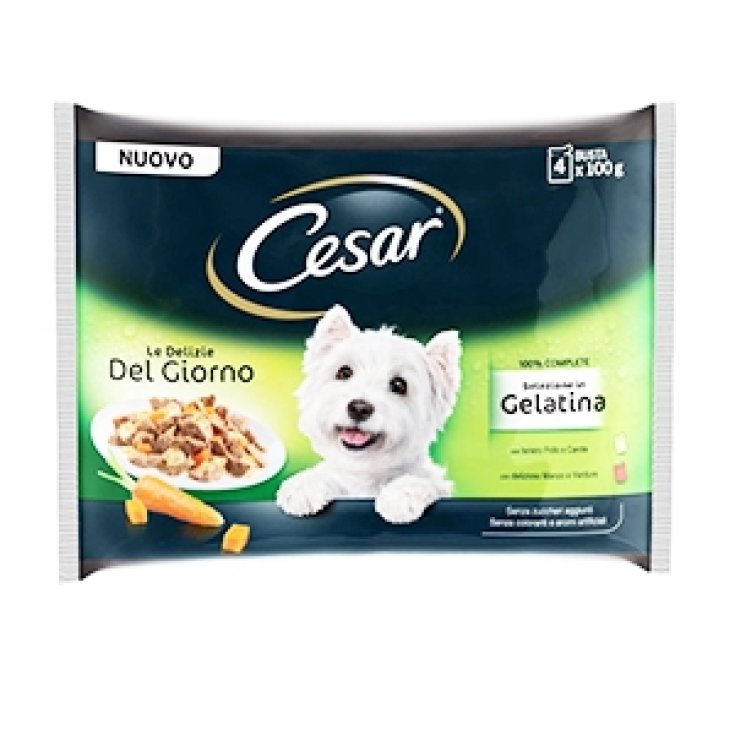 SÉLECTION DE GEL CESAR DELIZIE GG