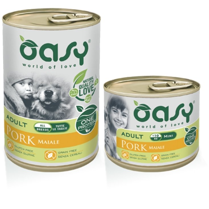 OASY WET DOG ONE AD MINI COCHON