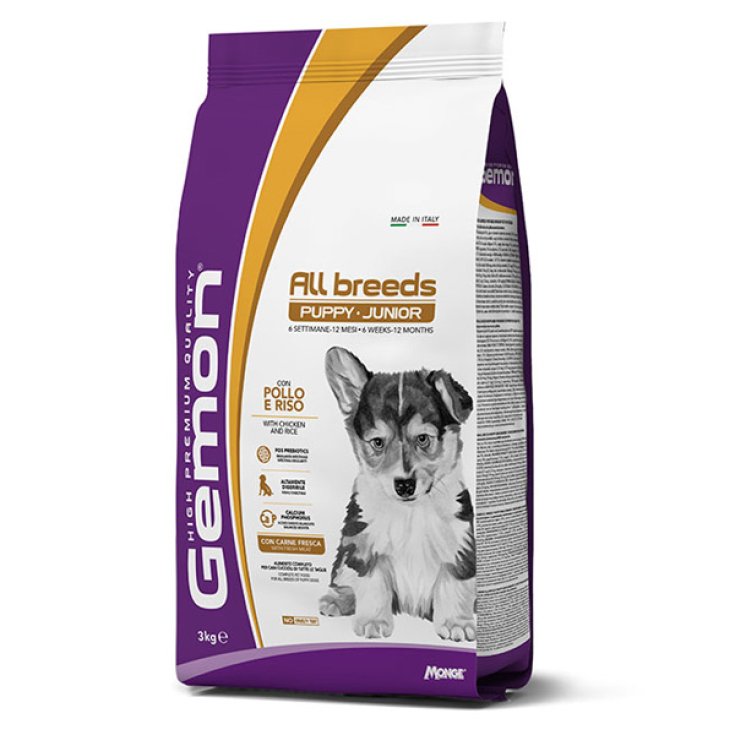 GEMON DOG ALLB PUP/JUN THON/RIS 15 KG