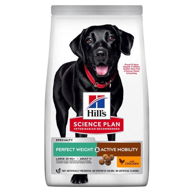 SP CHIEN AD 1+ LB PERF W12KG