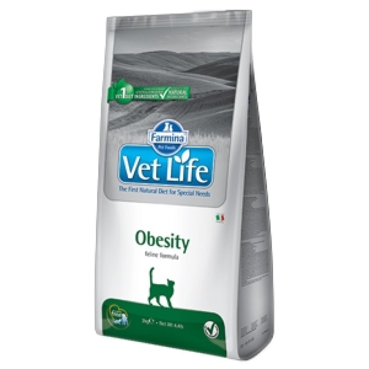 VET LIFE NAT FEL OBÉSITÉ 2KG