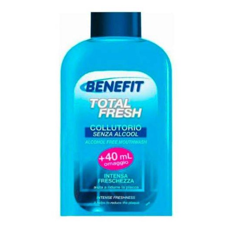 BENEFIT BAIN DE BOUCHE T/FRESH 500 ML