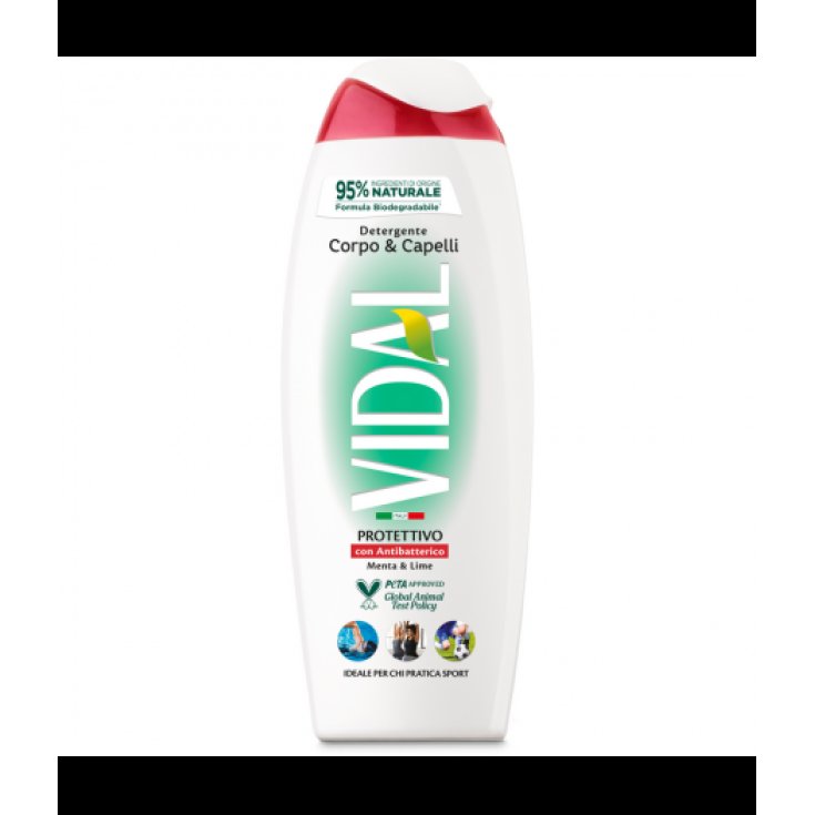 VIDAL NEW D/S ANTIBACTÉRIEN 250 ML