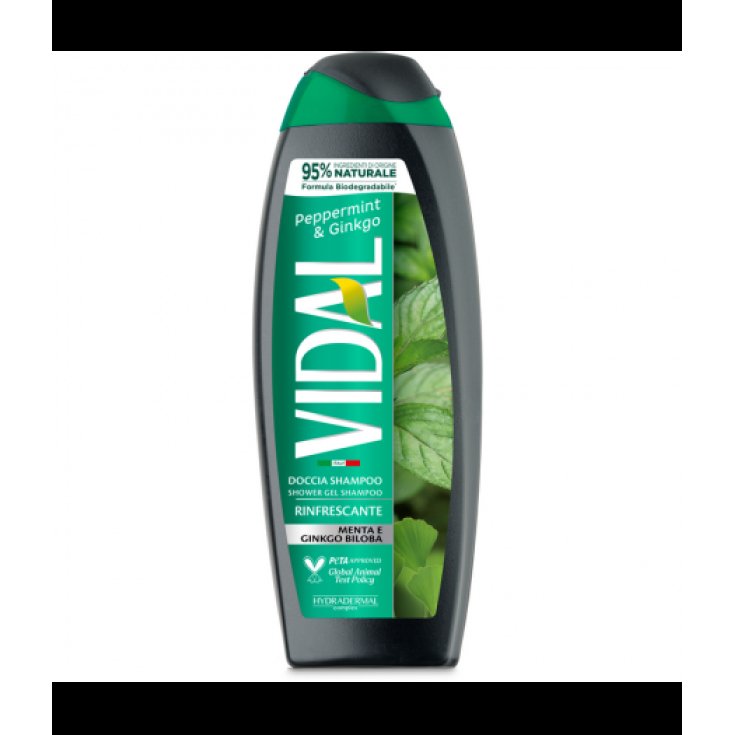 VIDAL NEW D/S MENTHE & GINKGO 250ML
