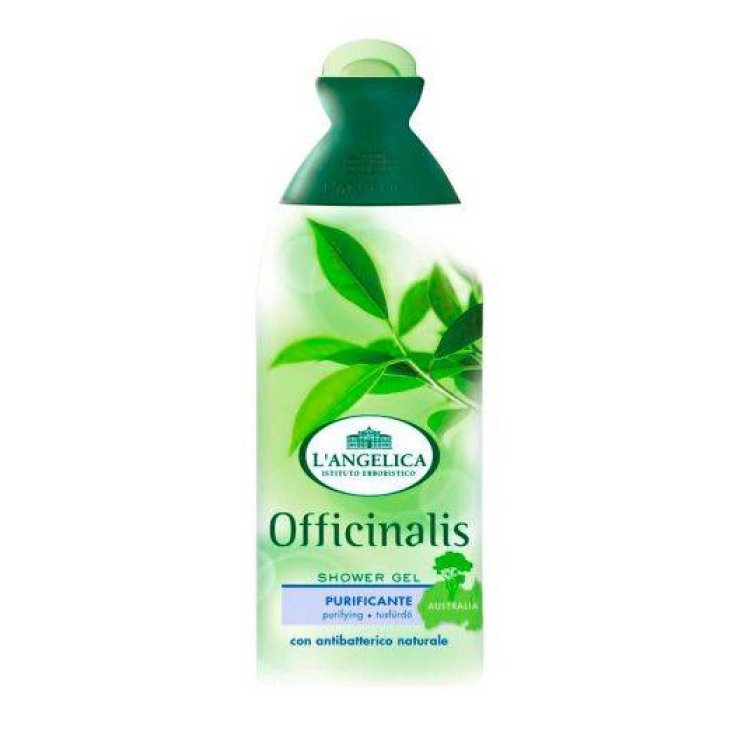 L ANGELICA D/S HUILE D'ARBRE À THÉ 250 ML