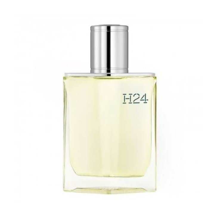 REMPLACEMENT HERMES H24 U EDT 125V