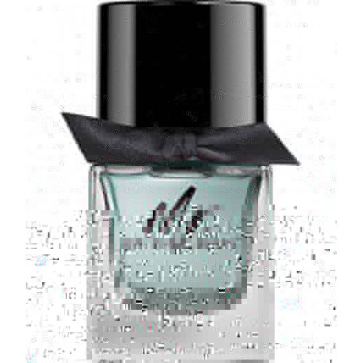 BURBERRY MR U EDT 50 VAPO
