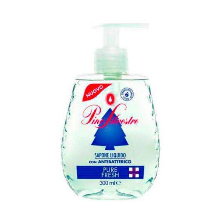 SÈVE DE PIN SILVESTER LIQ P / FRESH 300