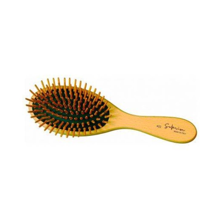 BROSSE GUENZANI 422 BOIS OVALE