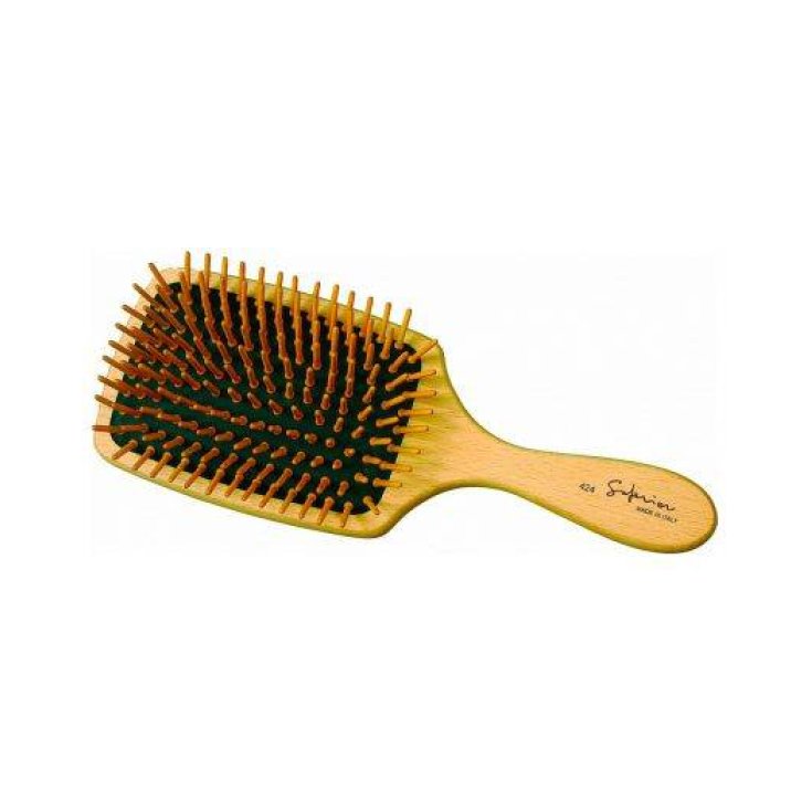GUENZANI 424 BROSSE BOIS PLATE