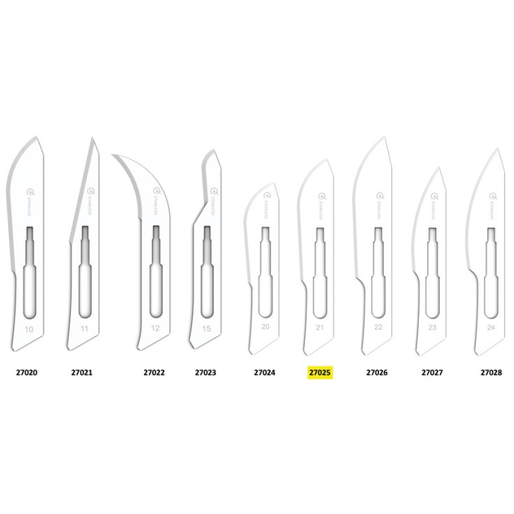 LAMES EN ACIER INOXYDABLE STER 21