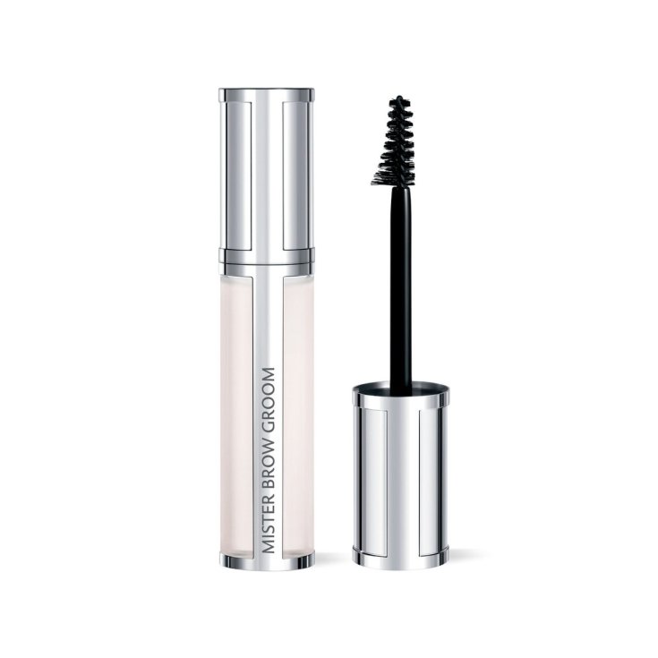 GIV MISTER BROW Groom