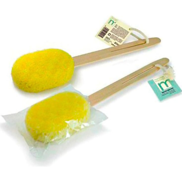 MARTINI BRUSH 457 NETTOYANT POUR LE DOS