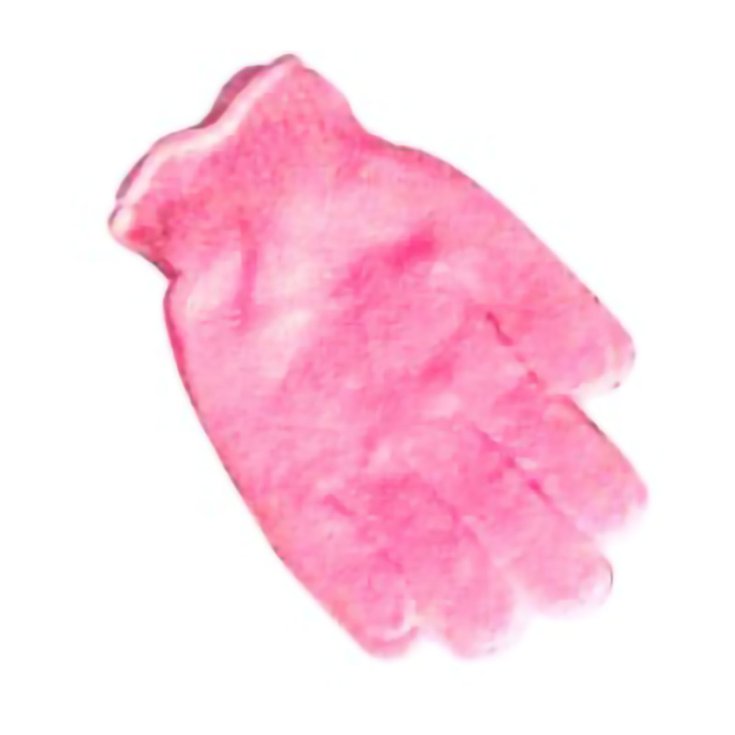 GANT EXFOLIANT 2 PCS