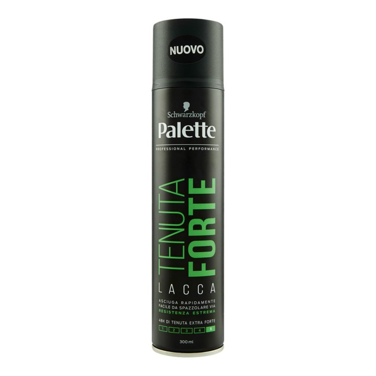 SPRAY PALETTE TENUE FORTE 300 ML