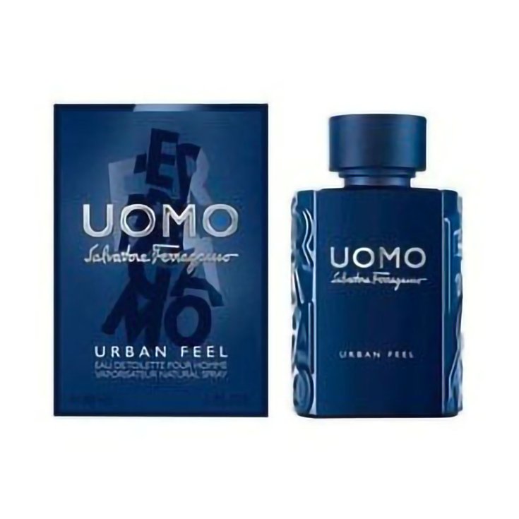 Salvatore Ferragamo Man Urban Feel Eau De Toilette Vaporisateur 100 ml
