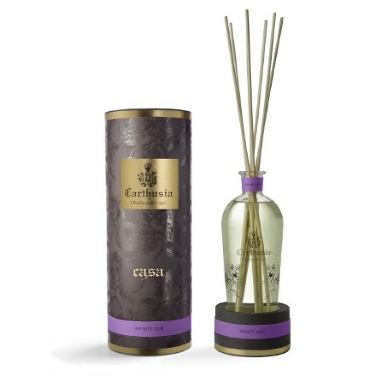 Diffuseur de voiture Infinity Oud