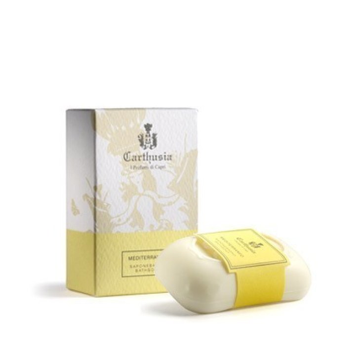 Savon Voiture Mediterraneo