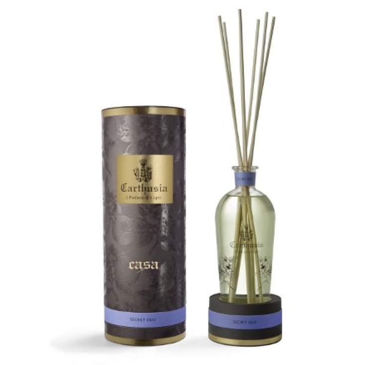 Car Secret Oud Diffuseur