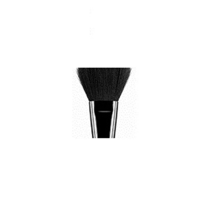 BROSSE ASTRA EXPERT 01