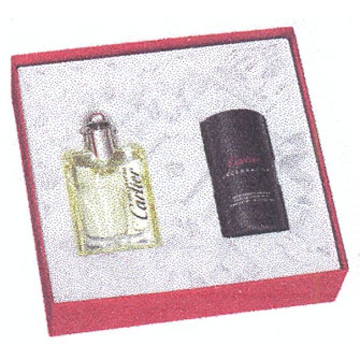 * KIT DE DÉCLARATION CARTIER EDT50 + STIC