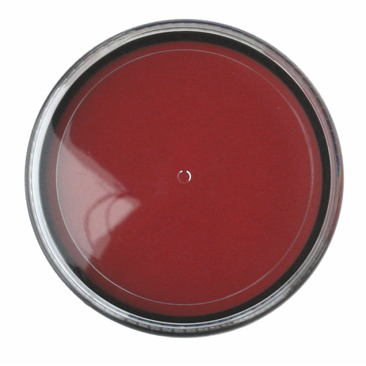 Mario Giussani Colors For Fan Peinture grasse en pâte 15 ml rouge vif
