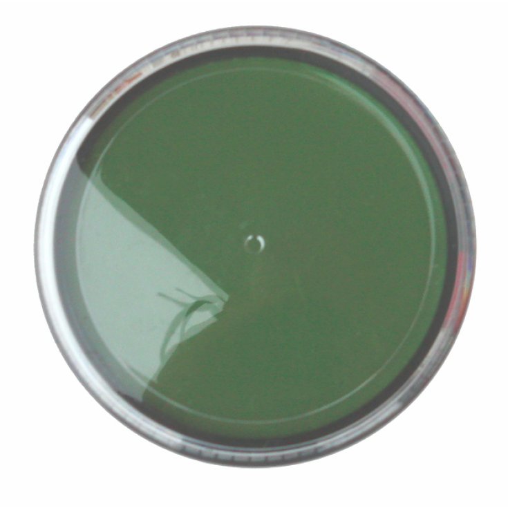 Mario Giussani Colors For Fan Peinture grasse en pâte 15 ml vert