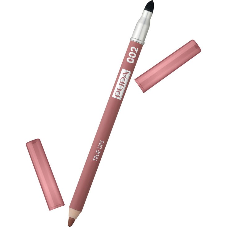PUPA M / LÈVRES TRUE LIPS 02 MARRON